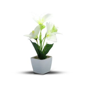 احواض زرع للمنزل