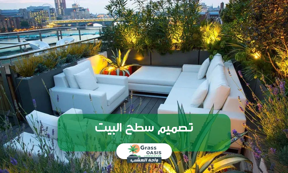 تصميم سطح البيت