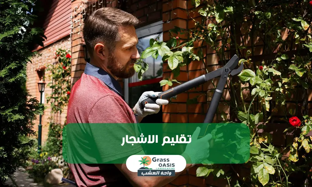 تقليم الأشجار