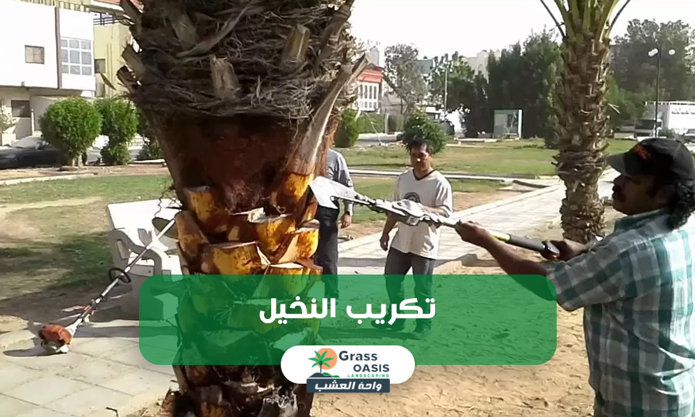 خدمات تكريب النخيل