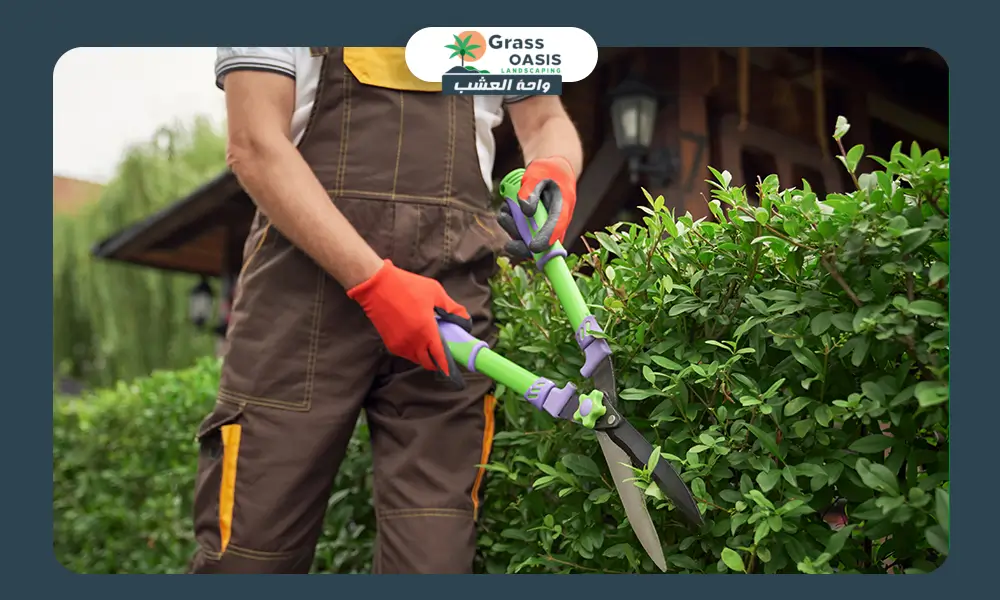 تقليم الأشجار