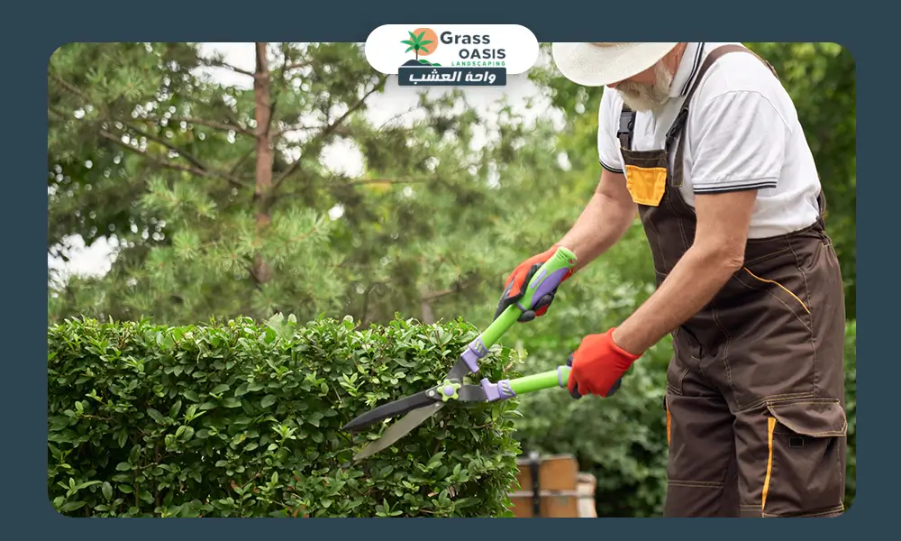 تقليم الأشجار