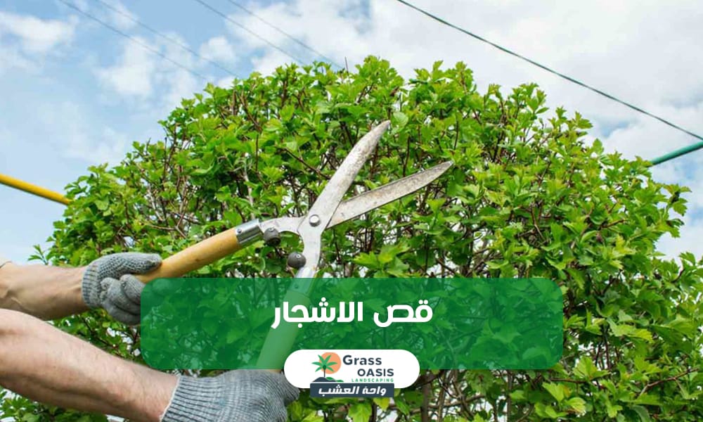 واحة العشب لقص الاشجار والمعاينه مجانيه