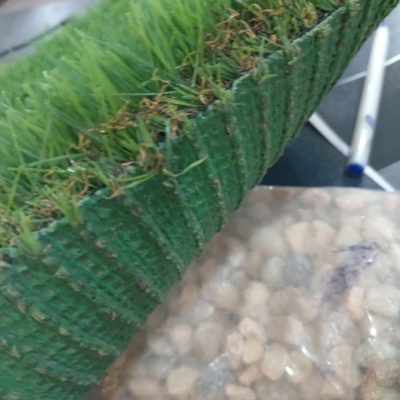 WhatsApp Image 2024-08-21 at 19.29.11_68fe4e0f